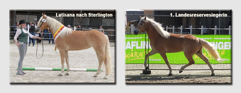 2025_Titelbild 01.jpg